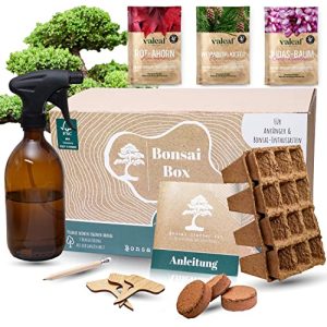 Bonsai-Starter-Kit valeaf Bonsai Starter Kit Dein eigener Bonsai