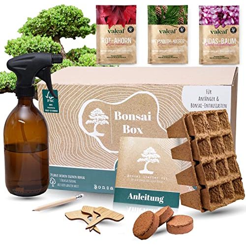 Die beste bonsai starter kit valeaf bonsai starter kit dein eigener bonsai Bestsleller kaufen