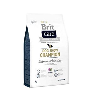 Brit-Care-Hundefutter Brit Care Dog Show Champion Salmon