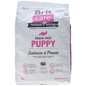 Brit-Care-Hundefutter Brit Care Puppy Salmon & Potato 3kg