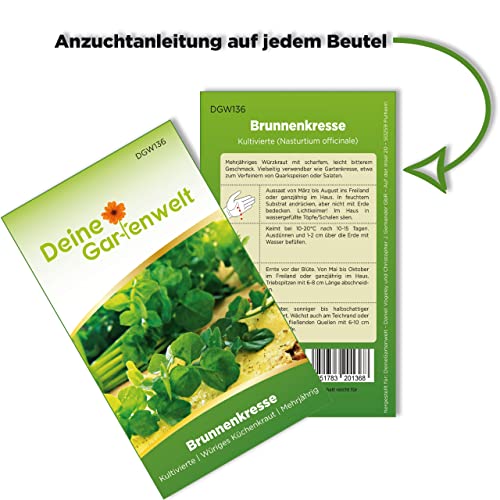 Brunnenkresse-Samen Deine Gartenwelt Nasturtium officinale