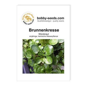 Brunnenkresse-Samen Gärtner’s erste Wahl! bobby-seeds.com