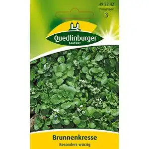Brunnenkresse-Samen