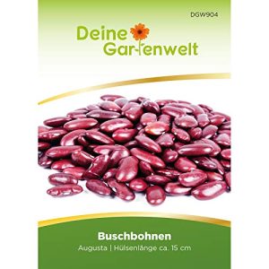 Buschbohnen-Samen Deine Gartenwelt Augusta Samen