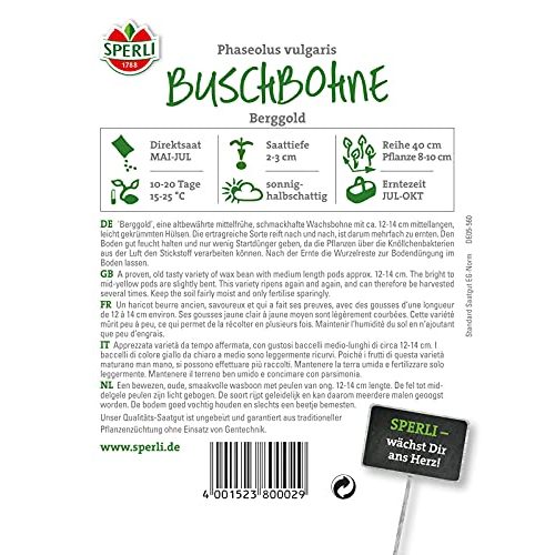 Buschbohnen-Samen Sperli 80002 Berggold ertragreich fadenlos