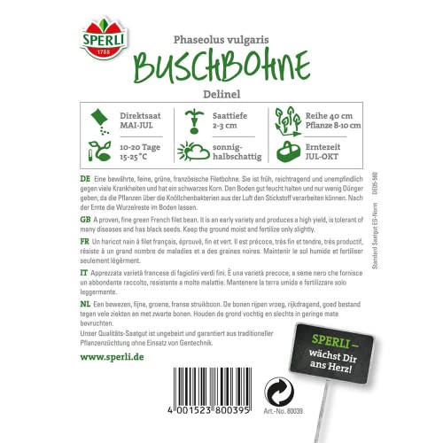 Buschbohnen-Samen Sperli 80039 Buschbohnen Samen Delinel