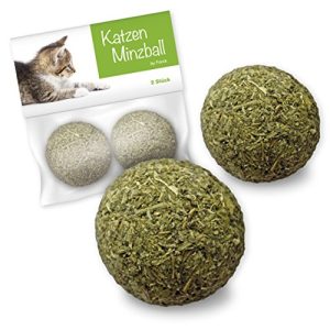 Catnip Forck Katzenminze-Ball, 2 Stück Minze-Bälle