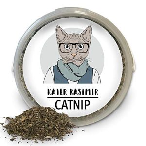Catnip Kater Kasimir Katzenminze Macht Deine Katze froh!