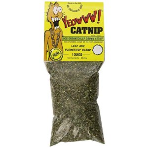 Catnip Yeowww 63010 Katzenminze-Beutel, 28.35 g