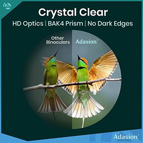 Fernglas Vogelbeobachtung Adasion 12×42 HD Fernglas