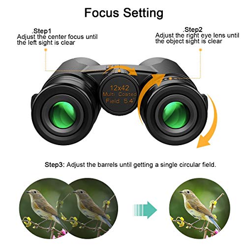Fernglas Vogelbeobachtung Kylietech Fernglas 12×42 HD Kompakt