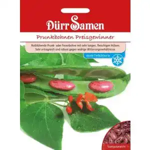 Feuerbohnen-Samen Dürr-Samen Dürr Samen 0326 Prunkbohne