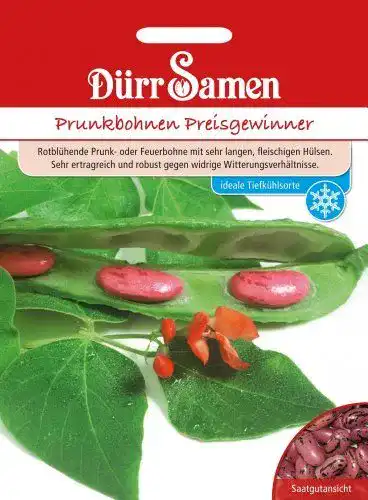 Feuerbohnen-Samen Dürr-Samen Dürr Samen 0326 Prunkbohne