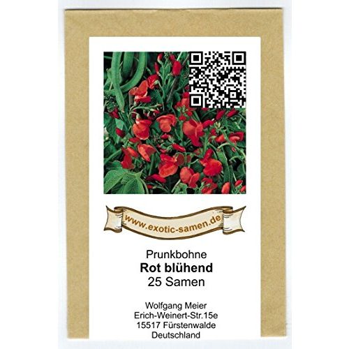 Feuerbohnen-Samen exotic-samen Prunkbohne Rot blühend