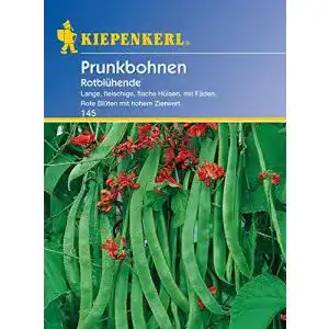 Die beste Feuerbohnen-Samen 2026 Test Bestseller Feuerbohnen-Samen
