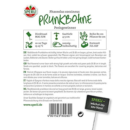 Feuerbohnen-Samen Sperli 80280 Premium Prunkbohnen
