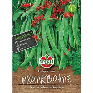 Feuerbohnen-Samen Sperli 80280 Premium Prunkbohnen
