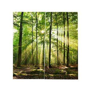 Fotogardinen Cafopgrill Wälder Eyelet Vorhang, Sonnenlicht
