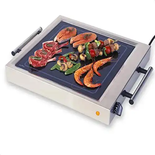Gastrogrill ELAG LeMax Grill II, max. 380°C Spitzentemperatur