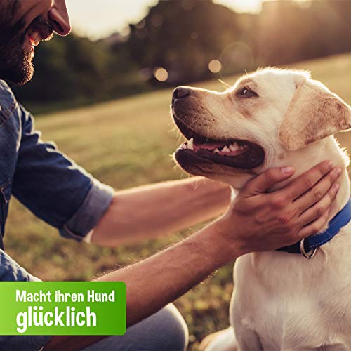 Glutenfreies Hundefutter Schecker Rind PUR 6 x 410g