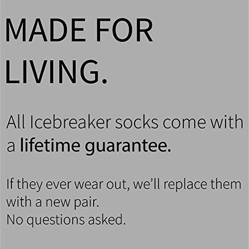 Icebreaker-Socken Icebreaker Merino Wandersocken für Herren