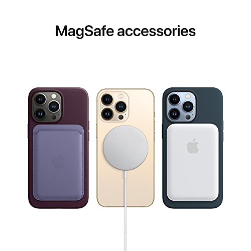 iPhone-13-Pro-Max-Hülle Apple Leder Case mit MagSafe