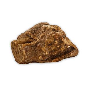 Chewing root dog naftie chewing root for medium-sized dogs, M