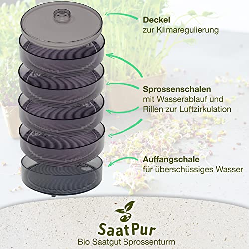 Keimsprossenbox SaatPur ® Set 4 mit vier Etagen