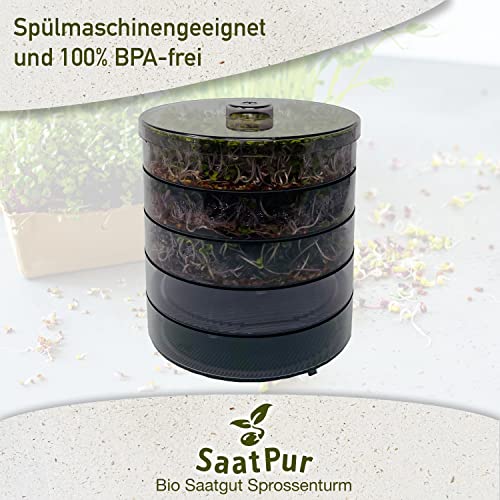 Keimsprossenbox SaatPur ® Set 4 mit vier Etagen