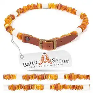 Die beste Keramik-Halsband Hund 2026 Test Bestseller Keramik-Halsband Hund