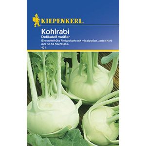 Kohlrabi-Samen Kiepenkerl Kohlrabi Delikatess weisser