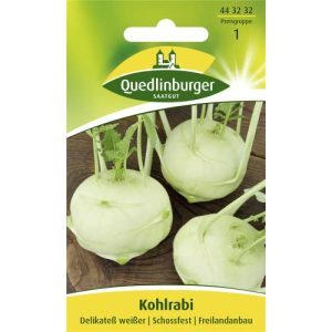 Kohlrabi-Samen Quedlinburger Kohlrabi, Delikateß weisser