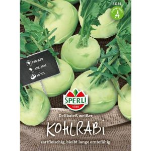 Kohlrabi-Samen Sperli 81134 Premium Delikateß Weißer