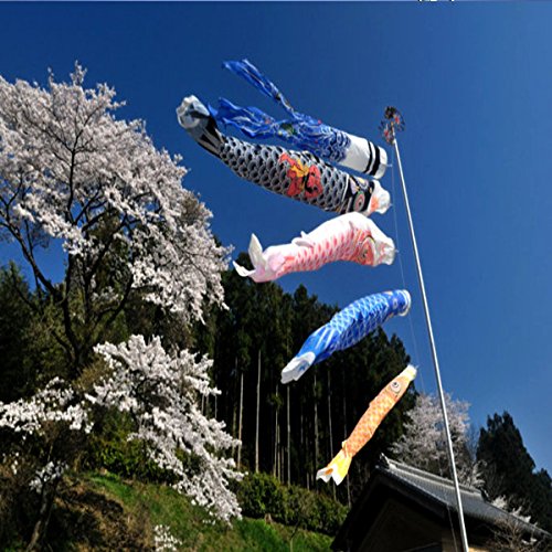 Koinobori Bluelover 1 Set 5Pcs Japanischen Karpfen Flag Banner