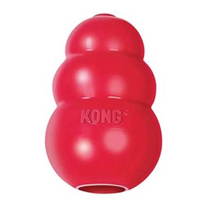 Kong-Hundespielzeug