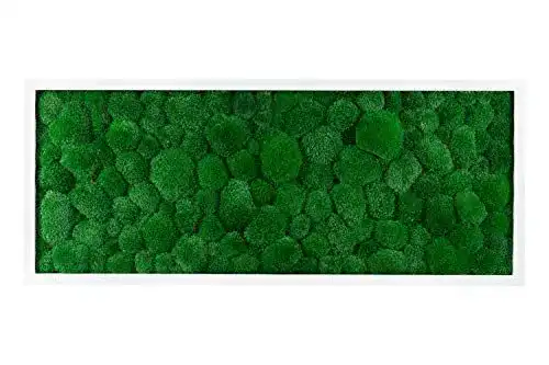 Moosbild MoosSpirit Wandbild mit Moos 100% Kugelmoos