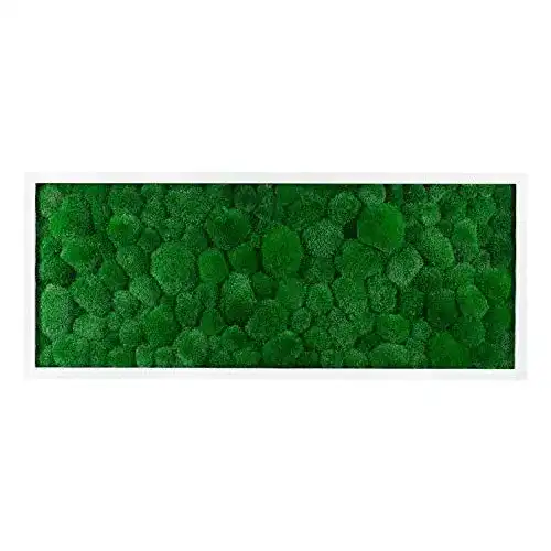 Moosbild MoosSpirit Wandbild mit Moos 100% Kugelmoos