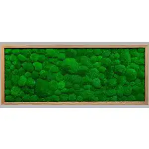 Moosbild MoosSpirit Wandbild mit Moos 136x56cm