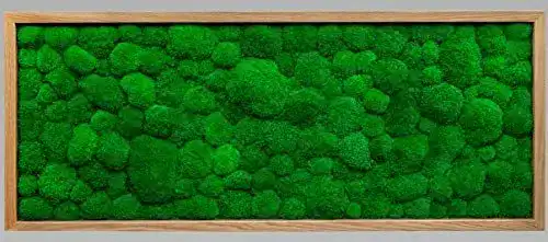 Moosbild MoosSpirit Wandbild mit Moos 136x56cm