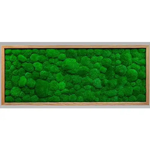 Moosbild MoosSpirit Wandbild mit Moos 136x56cm