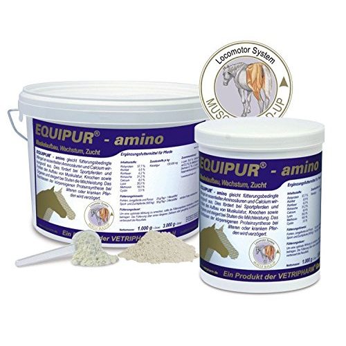 Muskelaufbau-Pferd-Zusatzfutter Equipur amino 1kg