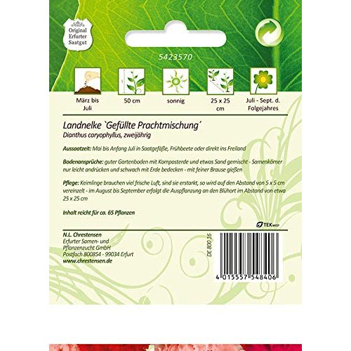 Nelken-Samen N.L.Chrestensen Dianthus, Landnelken, Gefüllt