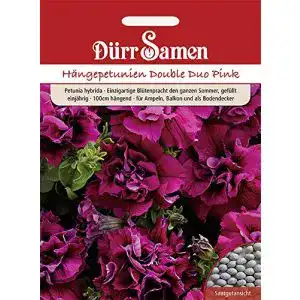 Petunien-Samen Dürr-Samen Petunie Double Duo Pink einjährig