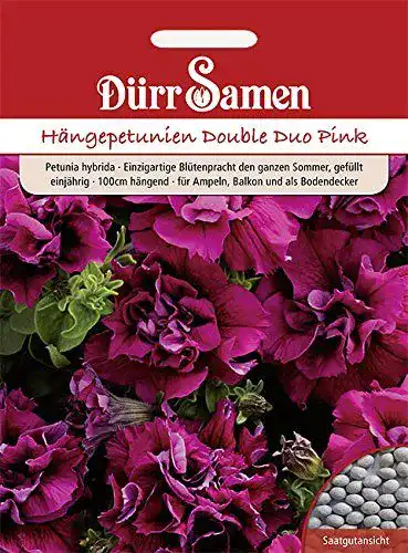 Petunien-Samen Dürr-Samen Petunie Double Duo Pink einjährig