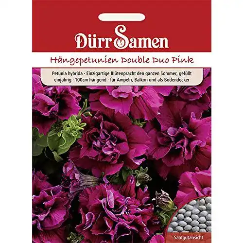 Petunien-Samen Dürr-Samen Petunie Double Duo Pink einjährig