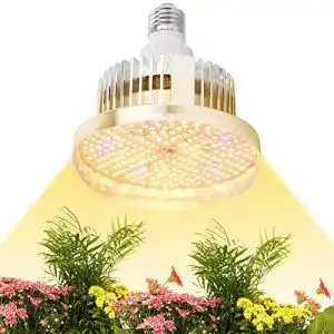 Pflanzenlampe E27