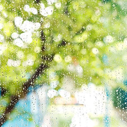 Regenmesser Relaxdays 2er Set, mit Halter, Niederschlagsmesser