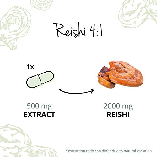 Reishi-Kapseln Vegavero REISHI EXTRAKT Kapseln ® 4:1 Extrakt
