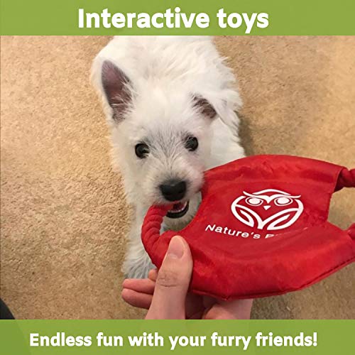 Robustes-Hundespielzeug Buddy Wild mit integriertem Leckerli