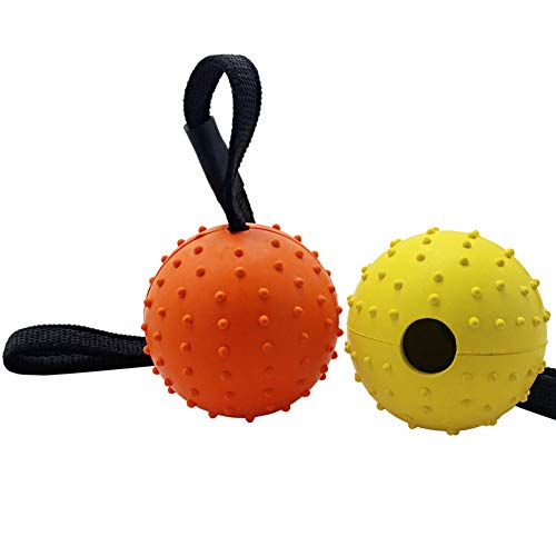Robustes-Hundespielzeug Vivifying Hundeball auf einem Seil, 2 St.